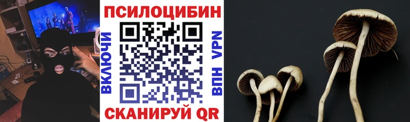 Псилоцибиновые грибы прущие грибы  Анжеро-Судженск 