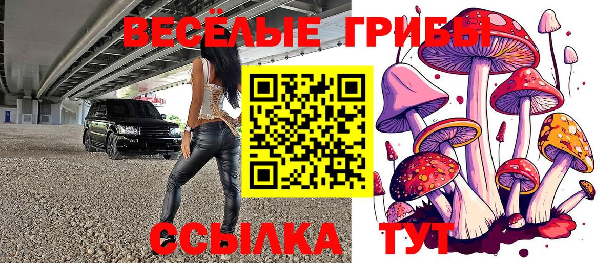 закладка  Анжеро-Судженск  Псилоцибиновые грибы GOLDEN TEACHER  Галлюциногенные грибы прущие грибы 